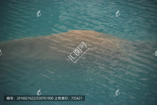 綠水