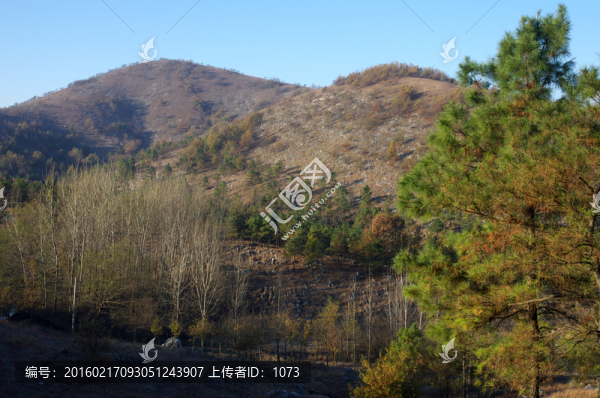 秋日山谷,陽光普照