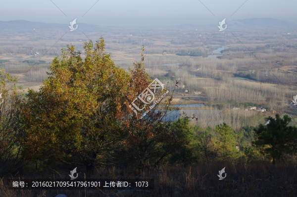 山麓河流