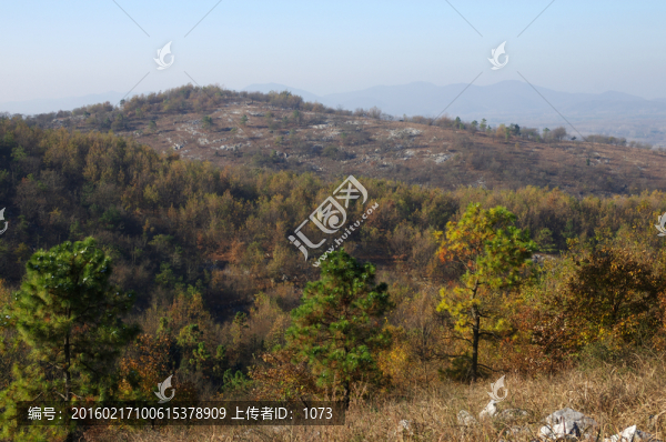 初冬山谷