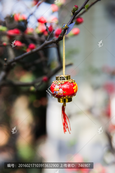 小燈籠