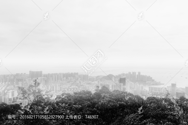 深圳蛇口深圳灣