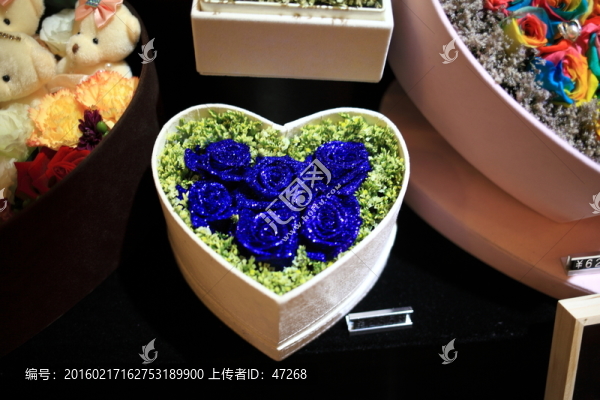 藍色妖姬禮盒