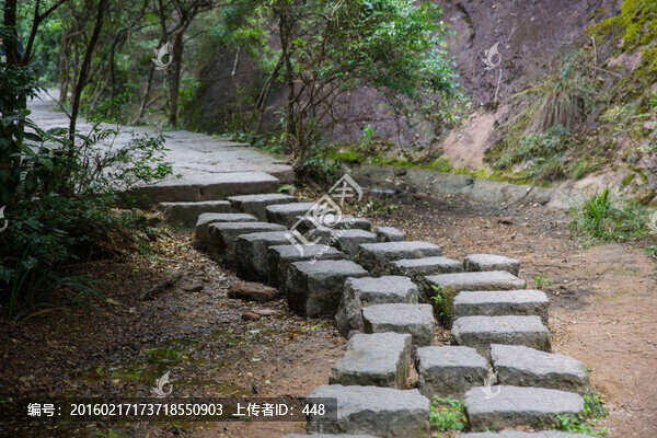 武夷山景區(qū)小路,林蔭小道