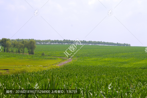 田園風(fēng)光