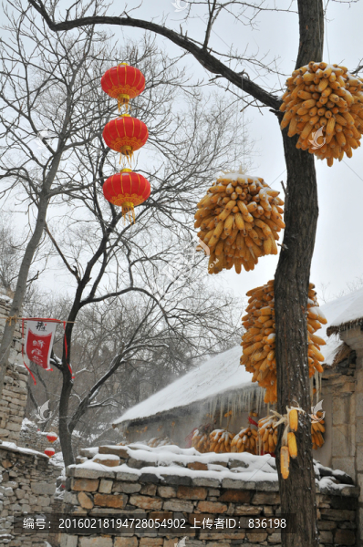 農(nóng)家院