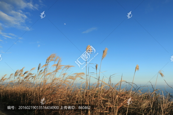 秋天海景-匯圖網(wǎng) www.fosd68.com 秋天海景