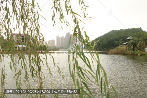 小區(qū)風(fēng)景