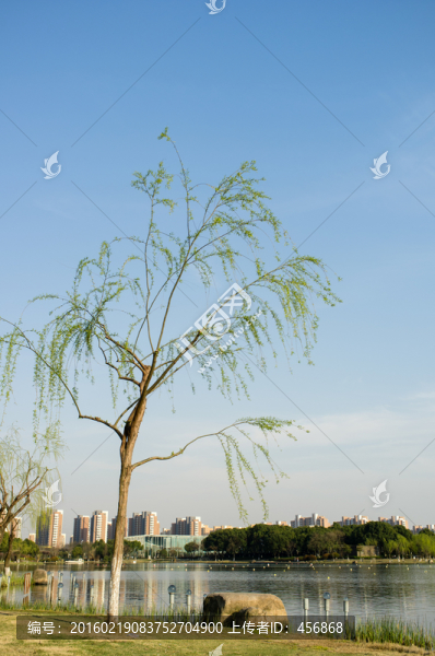春天的公園