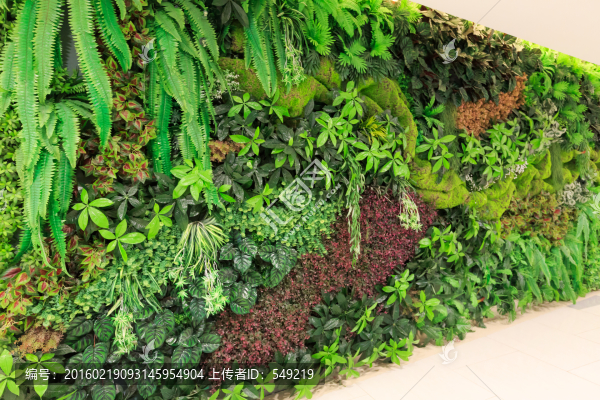 室內(nèi)植被墻
