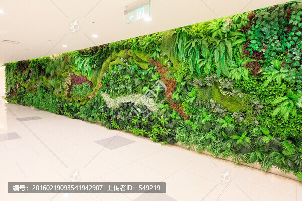 室內(nèi)植被墻