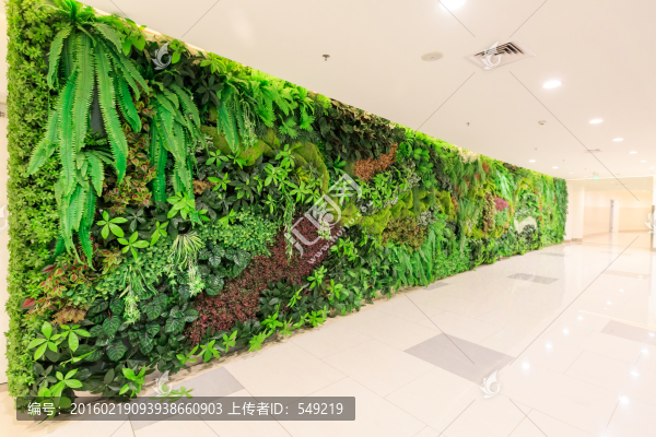 室內(nèi)植物墻