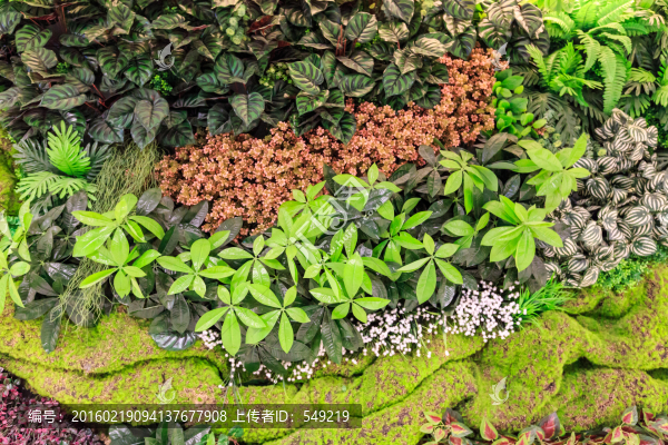 花墻