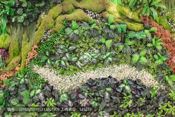 植被墻