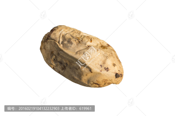 烤地瓜