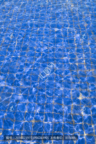 水池