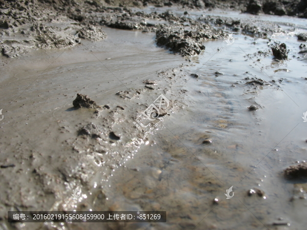 濕土-匯圖網(wǎng) www.fosd68.com 濕土