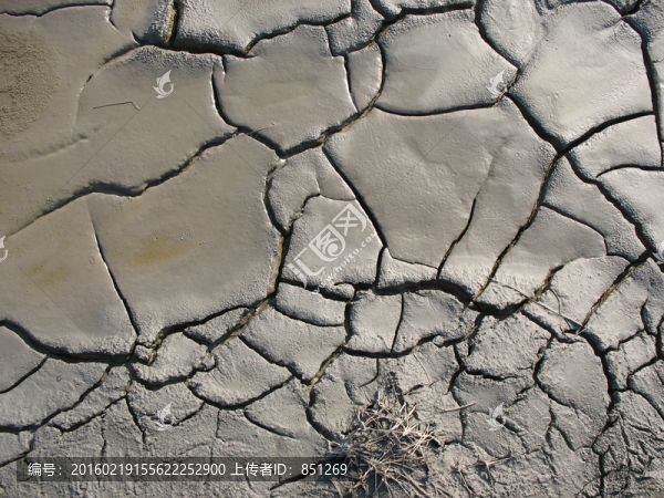 龜裂的土地