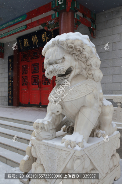 哈爾濱極樂寺