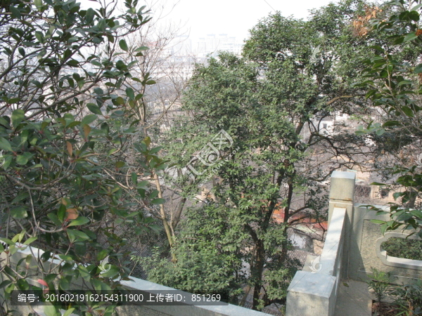 公園一角