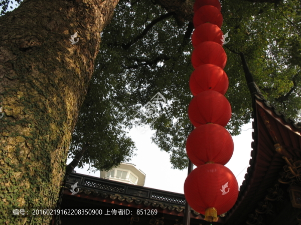 高掛的紅燈籠