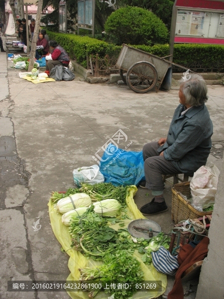 賣菜的老嫗