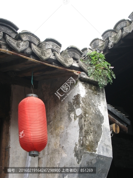 紅燈籠