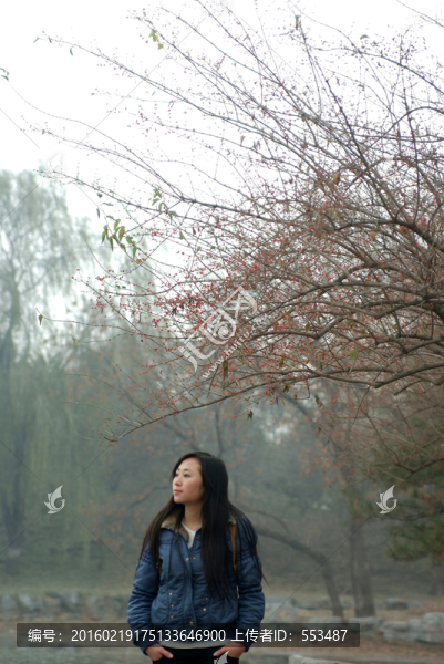 樹(shù)下女孩
