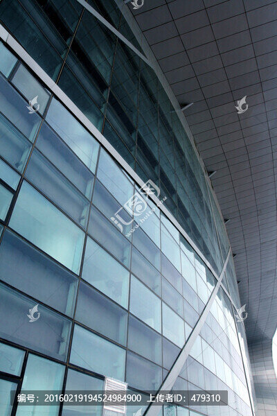 大慶,奧林比克,體育場,體育館