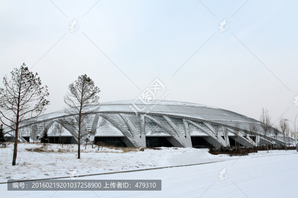大慶,奧林比克,體育場,體育館