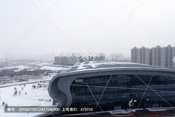 大慶,奧林比克,體育場,體育館