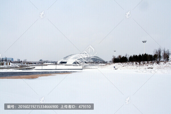 大慶,奧林比克,體育場,體育館