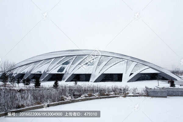 大慶,奧林比克,體育場,體育館