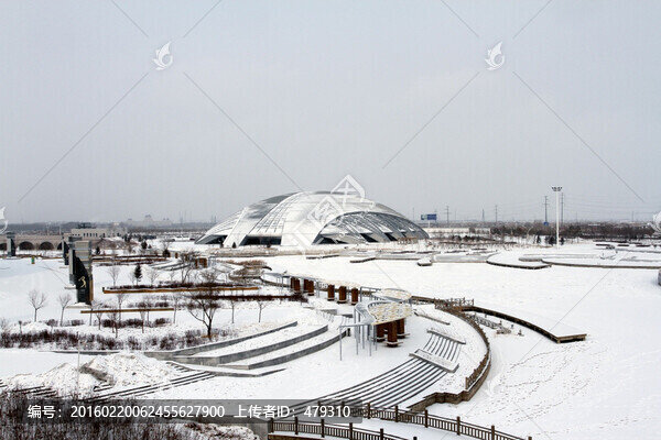 大慶,奧林比克,體育場,體育館