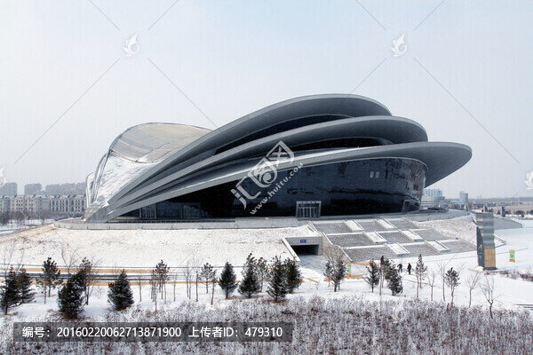大慶,奧林比克,體育場,體育館