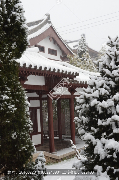 青龍寺