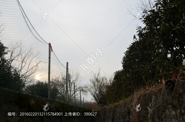 三山島農(nóng)家菜地
