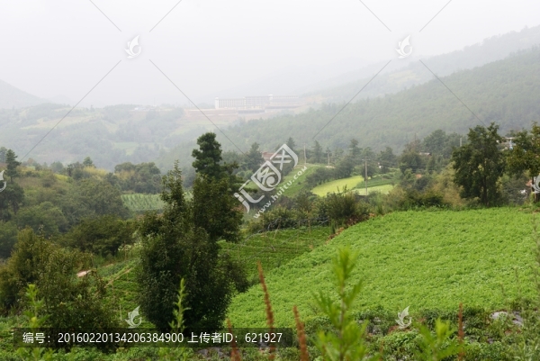 雨霧山景