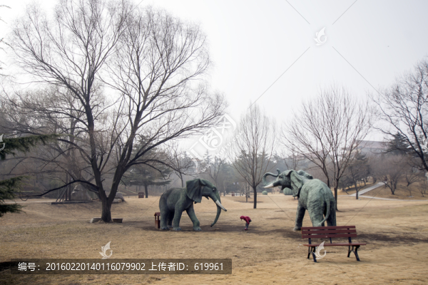 公園大象