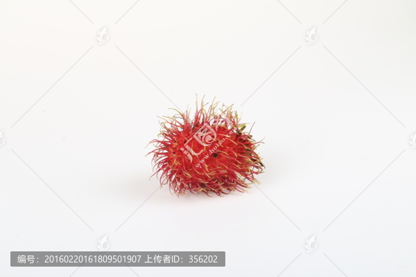 紅毛丹