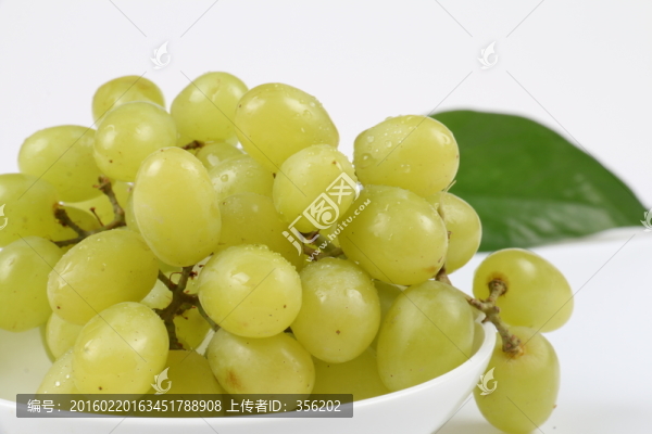 葡萄