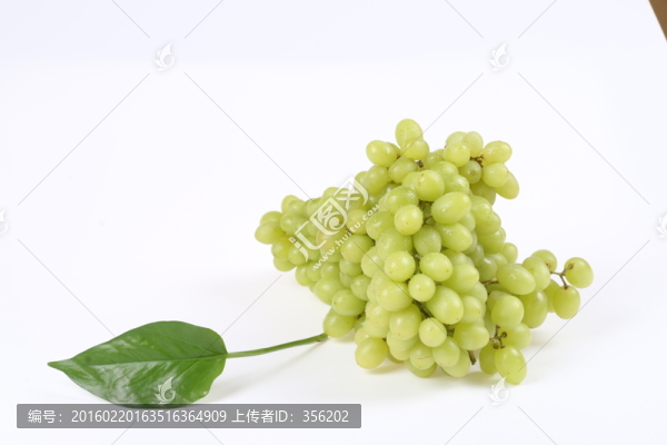葡萄
