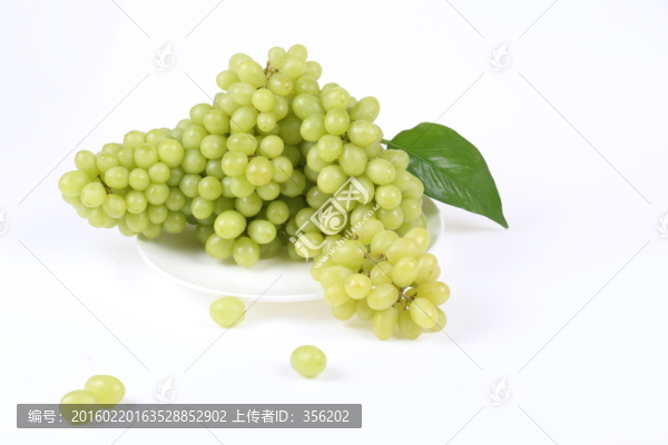 葡萄