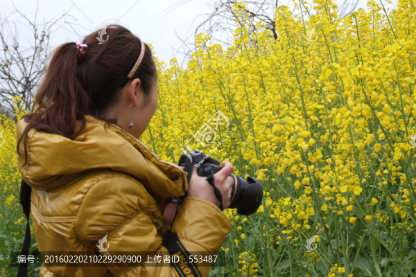 油菜花,女?dāng)z影