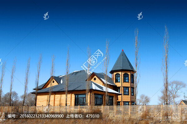 別墅,木屋,獨立屋,歐美建筑