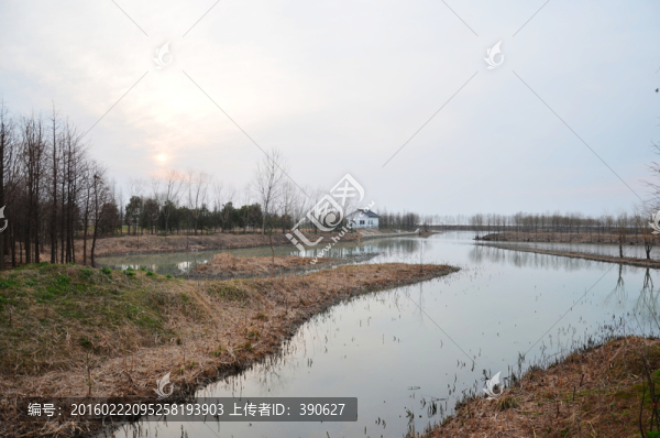 太湖濕地冬韻