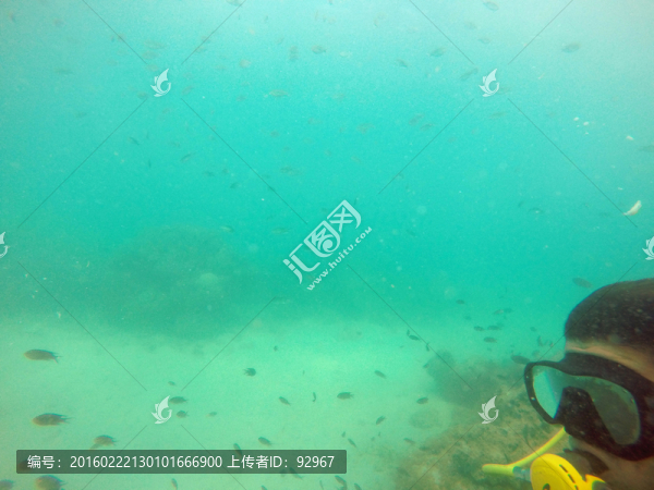 海底風光