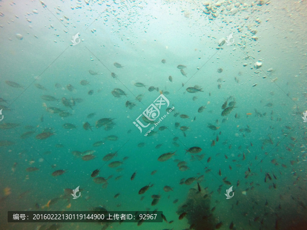 海底風光