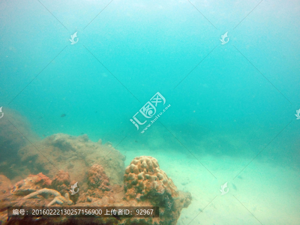 海底風(fēng)光