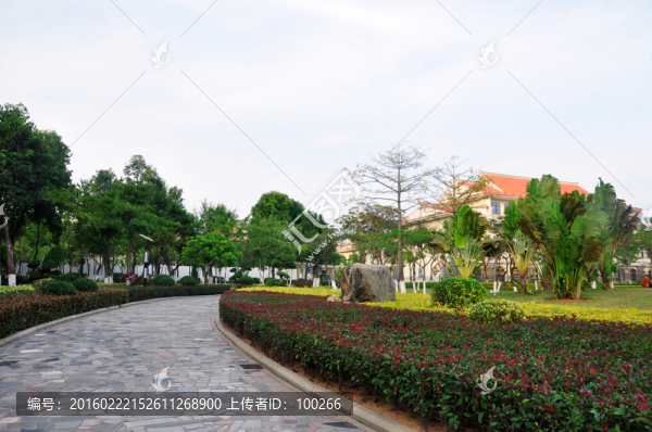 公園一角